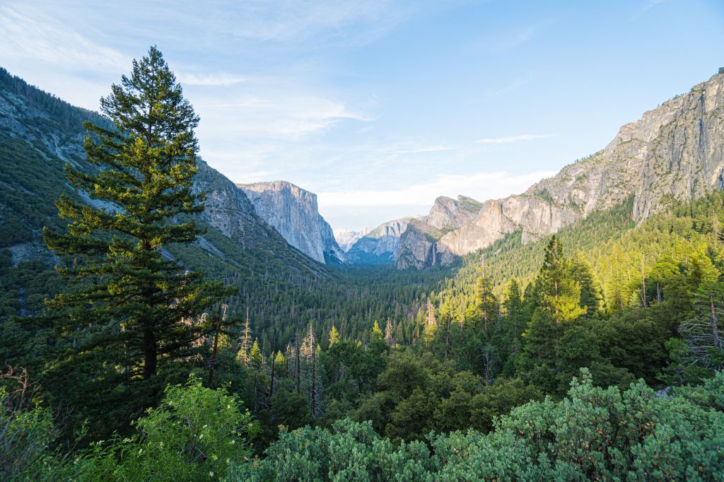 Digital Marketing Landscape